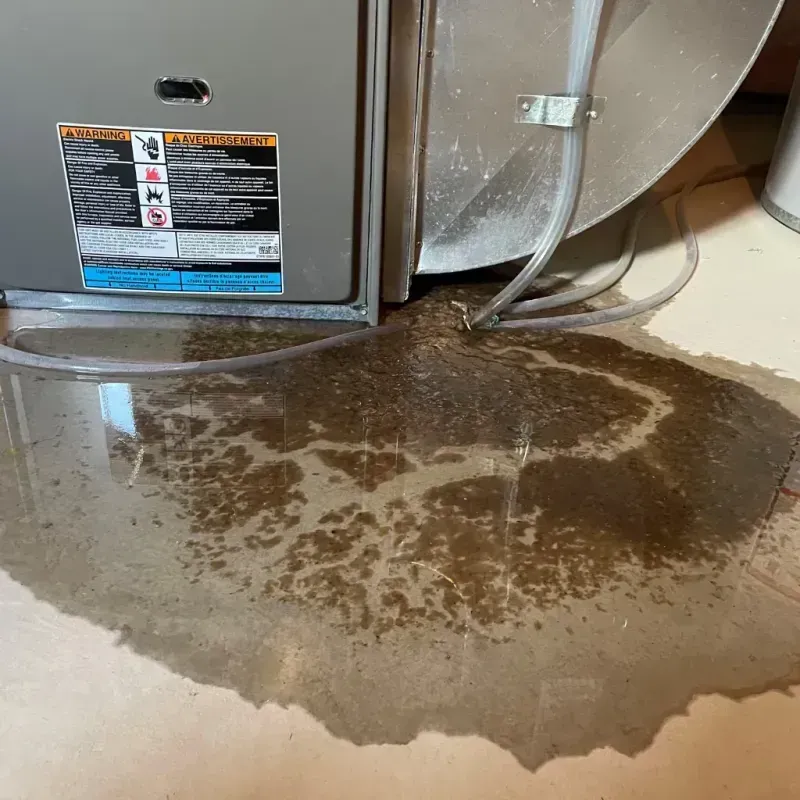 Appliance Leak Cleanup in Providence, TX